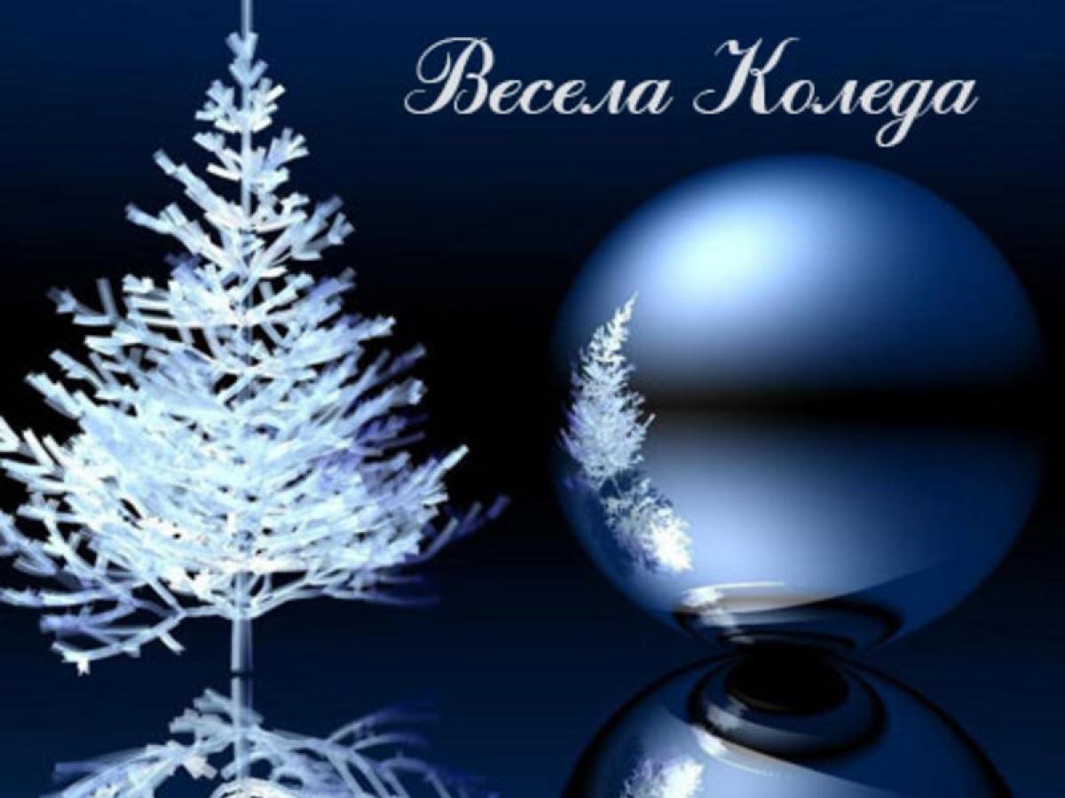 Весела и щастлива Коледа и успешна Нова година