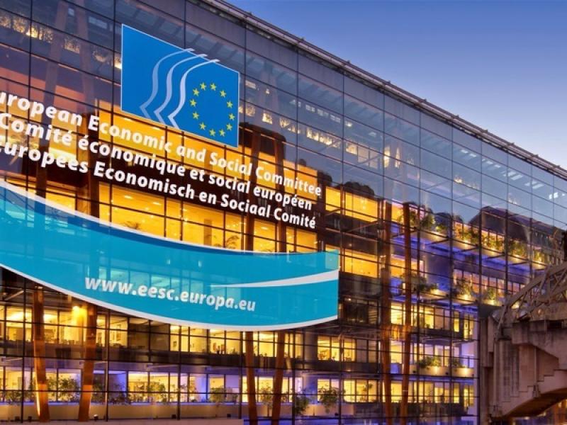 NNHM Participated in Meeting Held by European Economic and Social Committee (EESC)